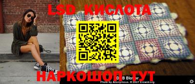 ПСИЛОЦИБИНОВЫЕ ГРИБЫ Новодвинск