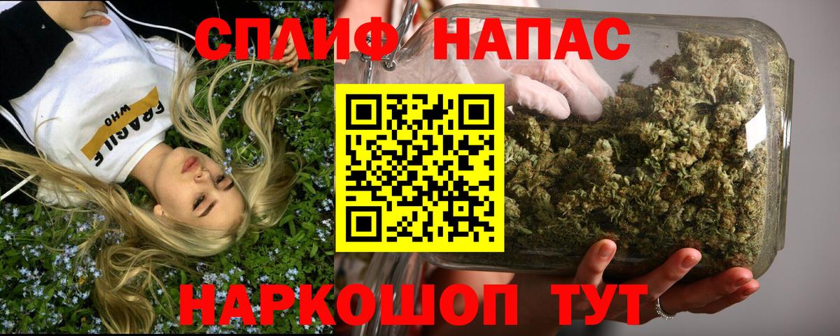 Тобольск  Бошки Шишки ГИДРОПОН  Вход с VPN  Бошки Шишки SATIVA & INDICA  Бошки Шишки планчик 